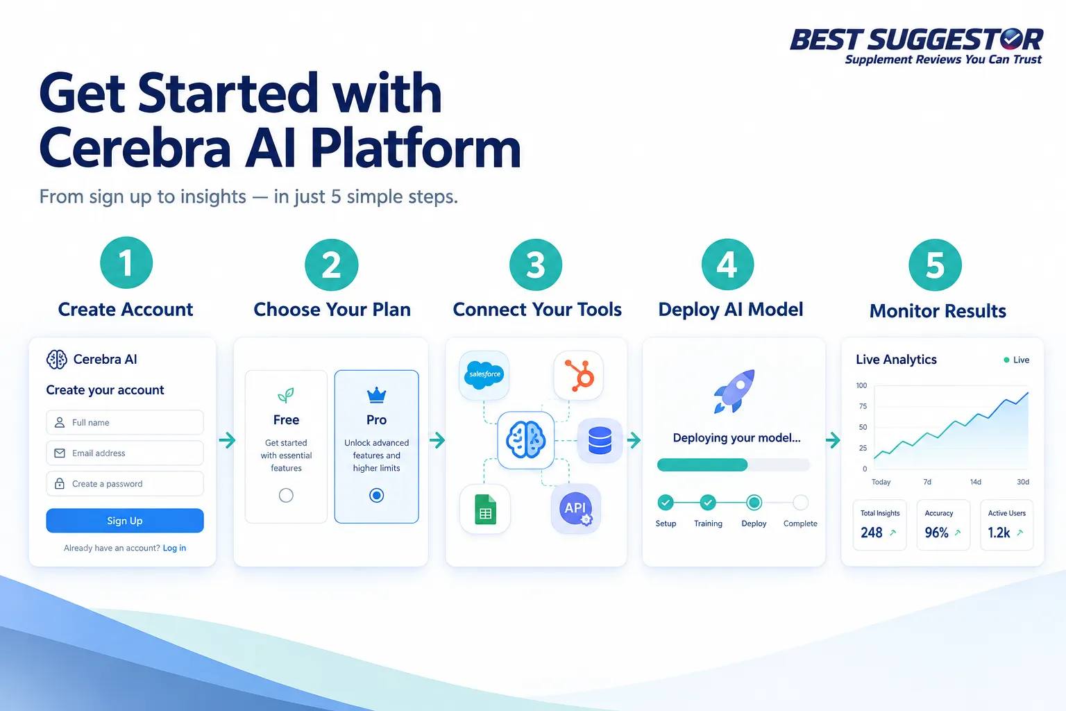 Cerebra Setup and Getting Started
