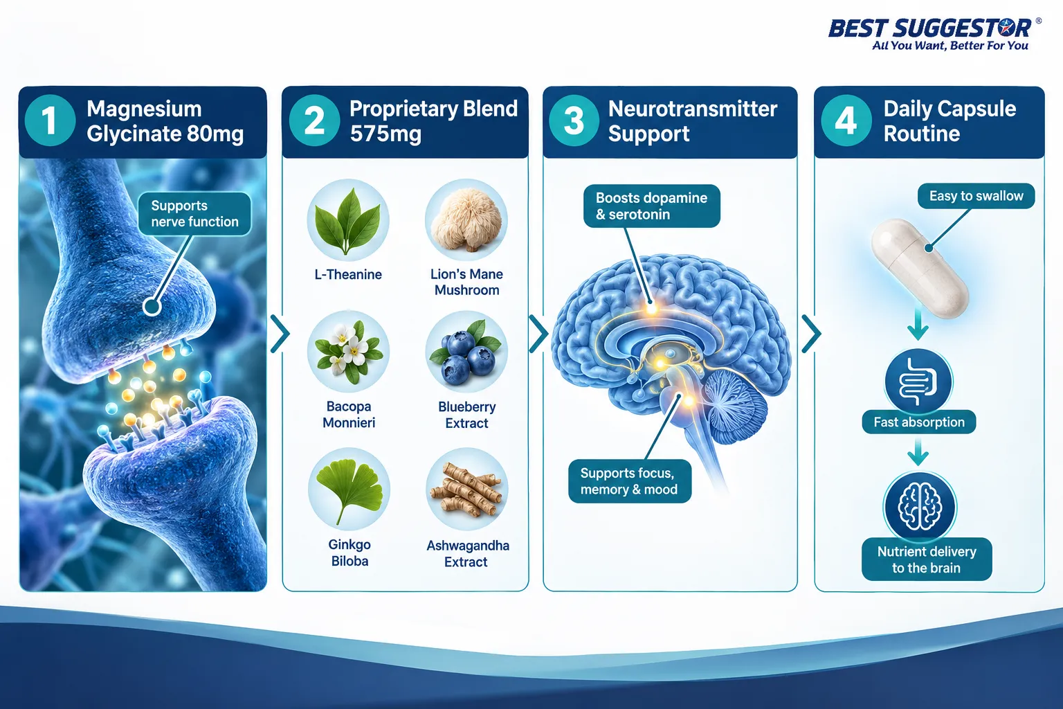 What Is Synaptril and How Does It Work?