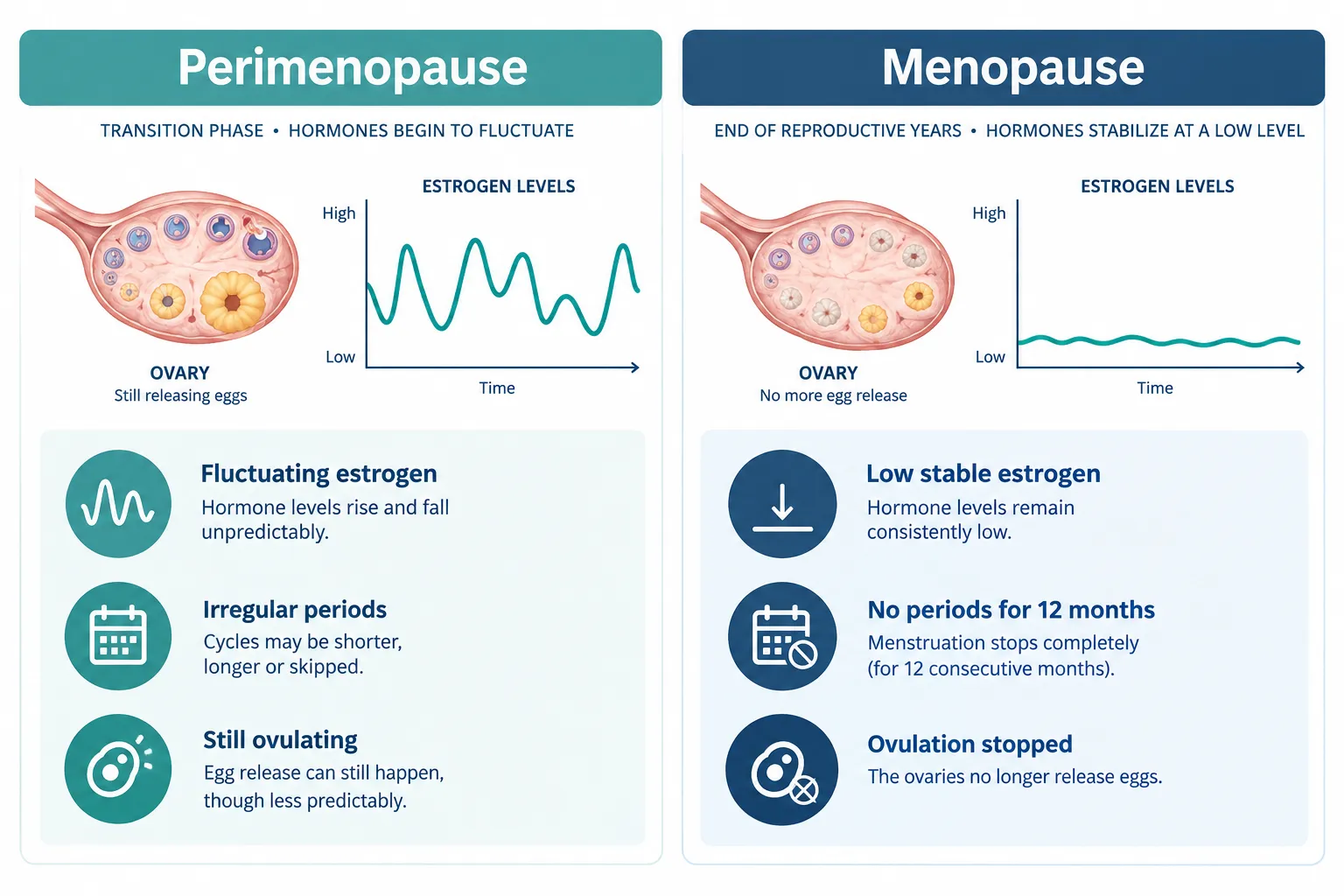 What's the Main Difference Between Perimenopause and Menopause?